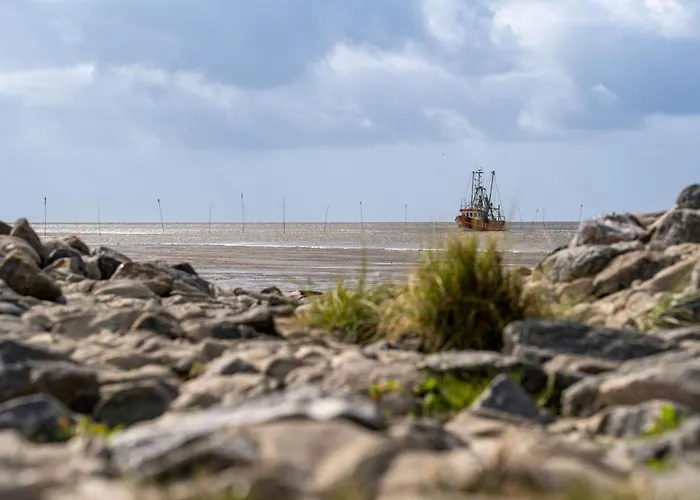 Knechtsand 28 بيت للعطل